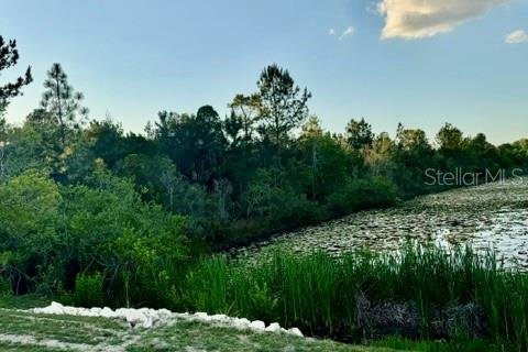Land in Weeki Wachee, Florida № 2166563 - photo 7