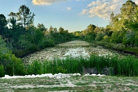 Land in Weeki Wachee, Florida № 2166563 - photo 5