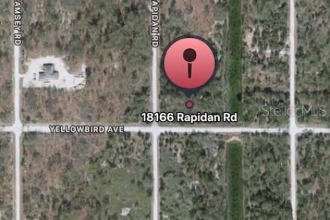 Land in Weeki Wachee, Florida № 2166563 - photo 3