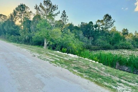 Land in Weeki Wachee, Florida № 2166563 - photo 6