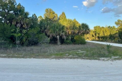 Land in Weeki Wachee, Florida № 2166563 - photo 2