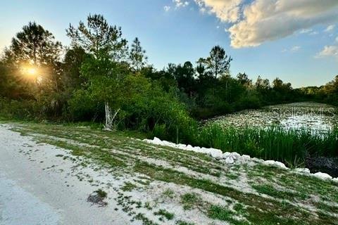 Land in Weeki Wachee, Florida № 2166563 - photo 9
