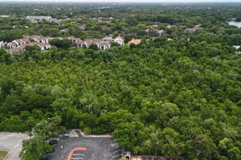 Land in Tampa, Florida № 1534545 - photo 4