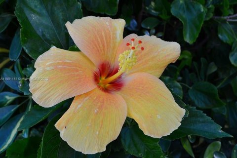 Condo in Indian River Shores, Florida, 2 bedrooms  № 2012777 - photo 13