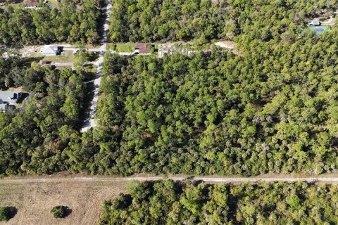 Land in Naples, Florida № 2128409 - photo 11