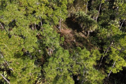 Land in Naples, Florida № 2128409 - photo 7