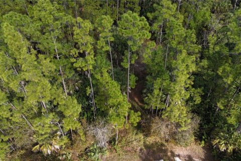 Land in Naples, Florida № 2128409 - photo 10