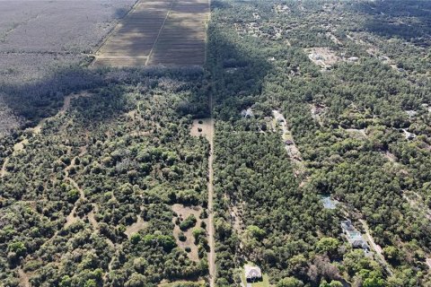 Land in Naples, Florida № 2128409 - photo 20