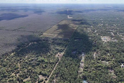 Land in Naples, Florida № 2128409 - photo 22
