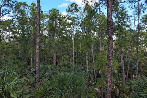 Land in Naples, Florida № 2128409 - photo 6