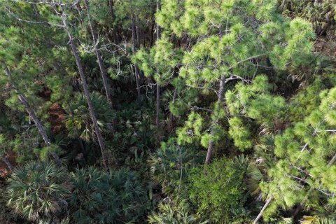 Land in Naples, Florida № 2128409 - photo 21