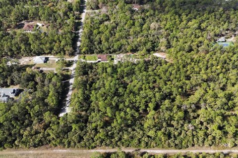 Land in Naples, Florida № 2128409 - photo 13