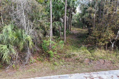 Terrain à Naples, Floride № 2128409