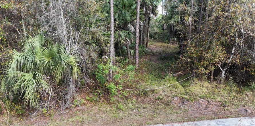 Land in Naples, Florida № 2128409