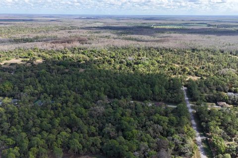 Land in Naples, Florida № 2128409 - photo 16