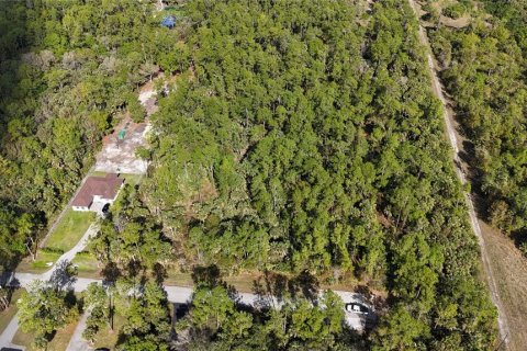 Land in Naples, Florida № 2128409 - photo 8
