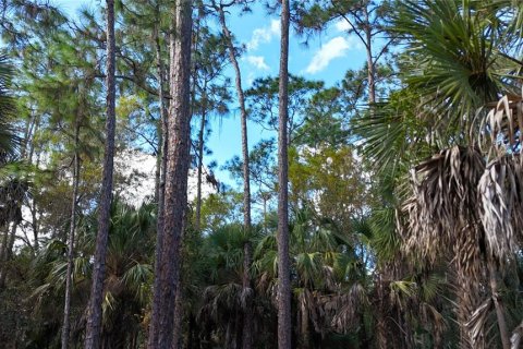 Land in Naples, Florida № 2128409 - photo 5