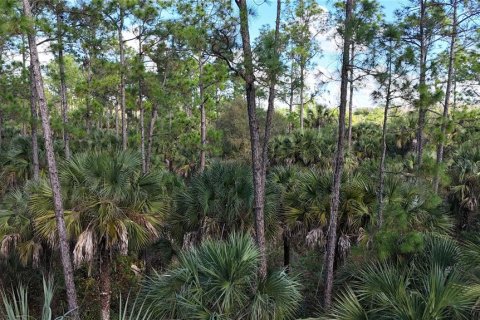 Land in Naples, Florida № 2128409 - photo 3