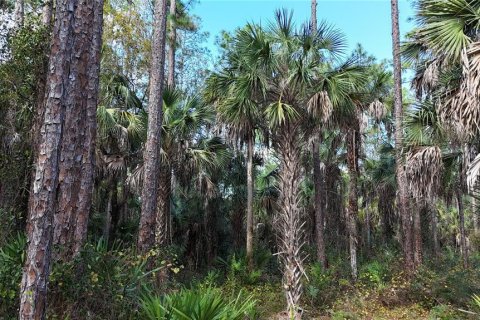 Land in Naples, Florida № 2128409 - photo 2