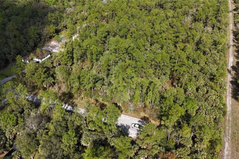 Land in Naples, Florida № 2128409 - photo 12