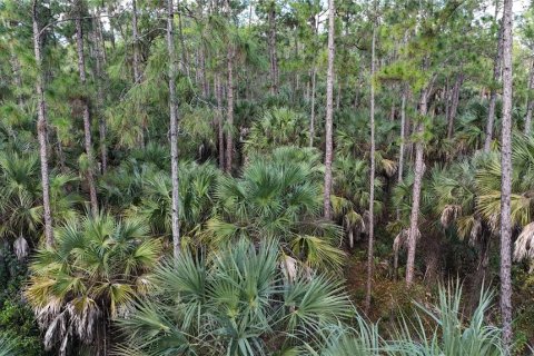 Land in Naples, Florida № 2128409 - photo 4