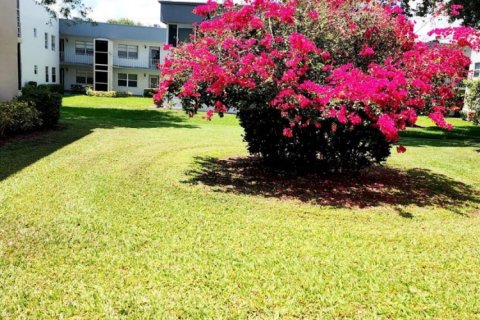 Condominio en alquiler en Delray Beach, Florida, 1 dormitorio, 70.61 m2 № 1133089 - foto 1