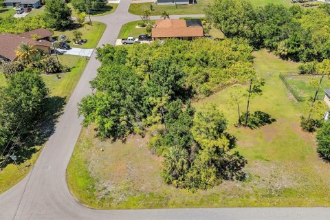 Land in Punta Gorda, Florida № 2166405 - photo 7