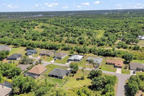 Land in Punta Gorda, Florida № 2166405 - photo 21