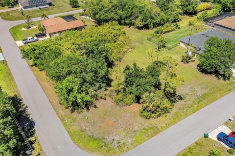 Land in Punta Gorda, Florida № 2166405 - photo 6