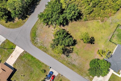 Land in Punta Gorda, Florida № 2166405 - photo 10