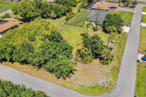 Land in Punta Gorda, Florida № 2166405 - photo 4