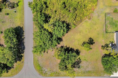 Land in Punta Gorda, Florida № 2166405 - photo 9