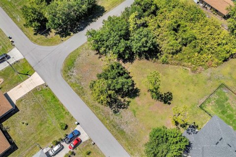 Land in Punta Gorda, Florida № 2166405 - photo 11
