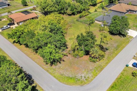 Land in Punta Gorda, Florida № 2166405 - photo 5