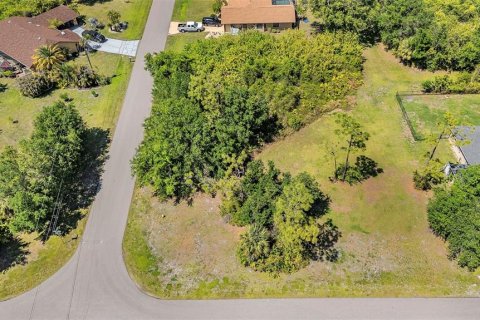 Land in Punta Gorda, Florida № 2166405 - photo 8