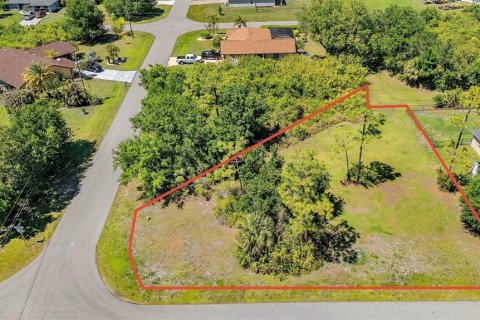 Land in Punta Gorda, Florida № 2166405 - photo 2
