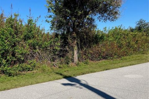 Land in Englewood, Florida № 2160194 - photo 2