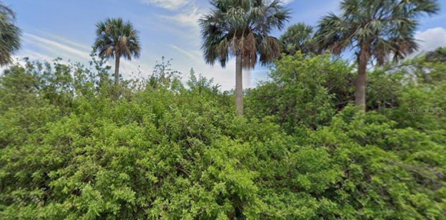 Land in Port Charlotte, Florida № 2213731