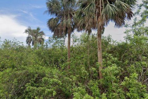 Land in Port Charlotte, Florida № 2213731 - photo 2