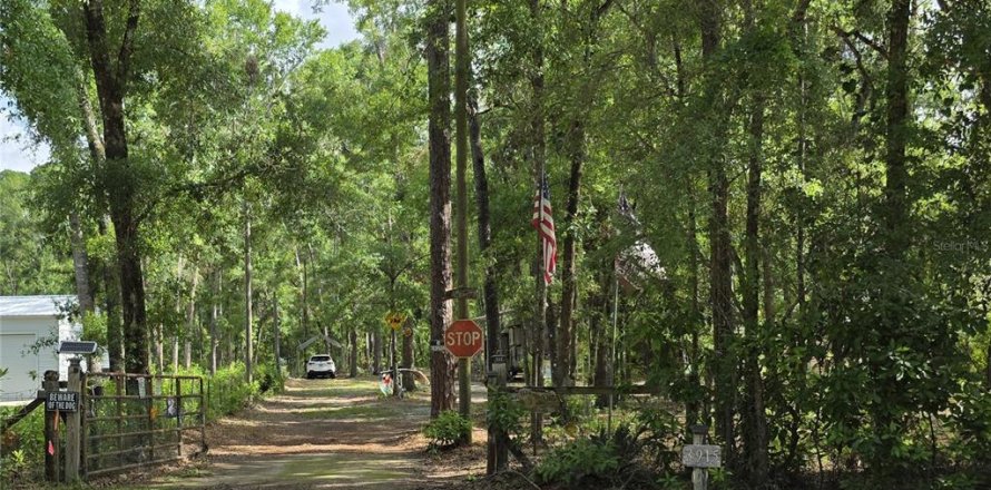 Terreno en Branford, Florida № 1776576