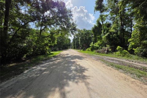 Terreno en venta en Branford, Florida № 1776576 - foto 2