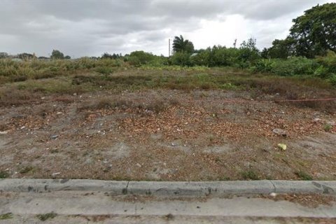 Terreno en venta en Pahokee, Florida № 2118555 - foto 2