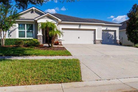 Villa ou maison à Valrico, Floride 3 chambres, 185.34 m2 № 2431821