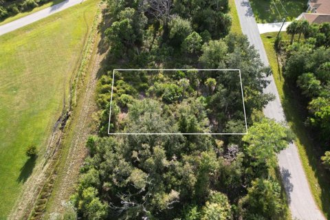 Land in North Port, Florida № 2229058