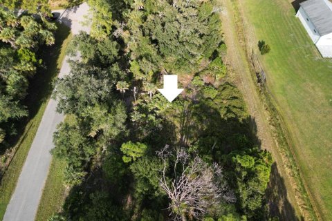 Land in North Port, Florida № 2229058 - photo 4