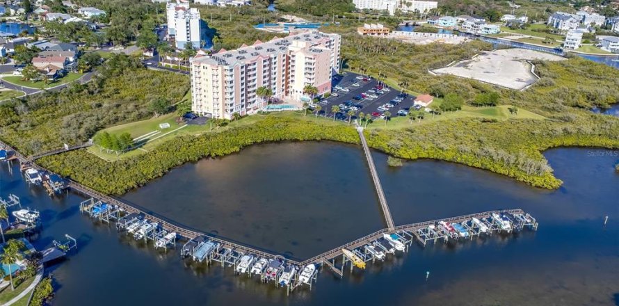 Condo in New Port Richey, Florida, 3 bedrooms  № 2133485