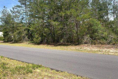 Land in Ocala, Florida № 2165620 - photo 2