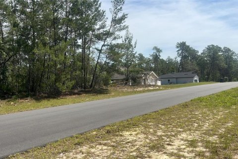 Land in Ocala, Florida № 2165620 - photo 3