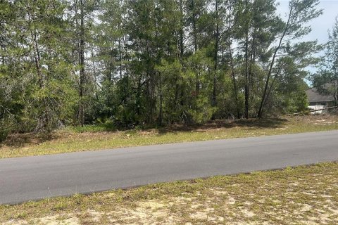 Land in Ocala, Florida № 2165620