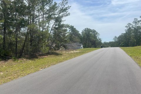 Land in Ocala, Florida № 2165620 - photo 4